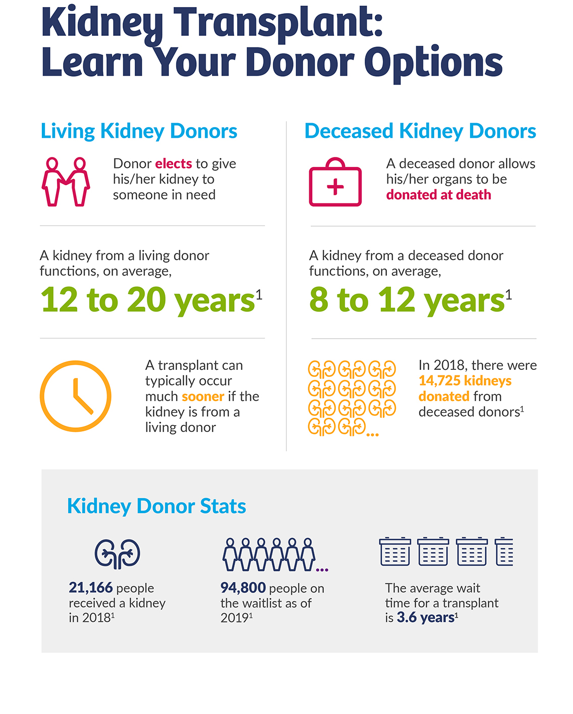 Kidney transplant donor options