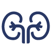 Kidney Icon