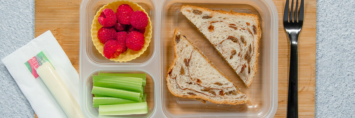 Peanut Butter Sandwich Lunch Box - DaVita