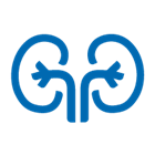 kidney icon