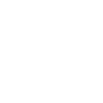 Kidney icon